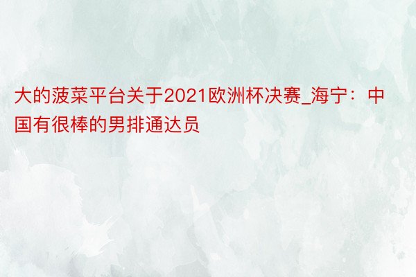 大的菠菜平台关于2021欧洲杯决赛_海宁：中国有很棒的男排通达员