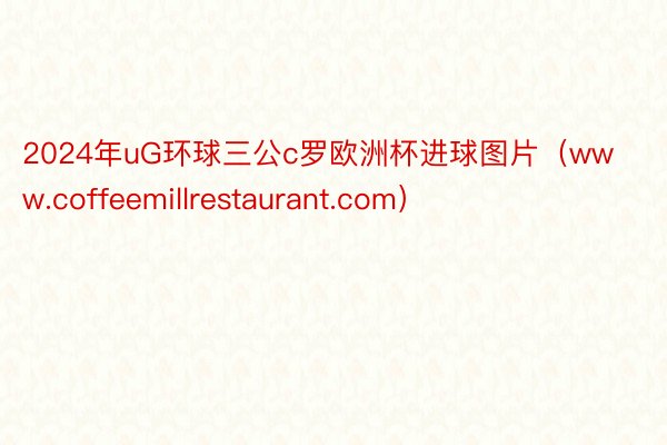 2024年uG环球三公c罗欧洲杯进球图片（www.coffeemillrestaurant.com）