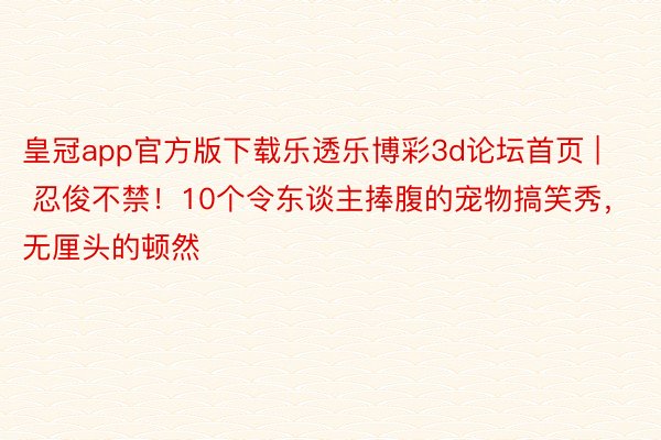 皇冠app官方版下载乐透乐博彩3d论坛首页 | 忍俊不禁！10个令东谈主捧腹的宠物搞笑秀，无厘头的顿然